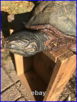 Large Cast Iron Turtle