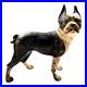 ORIGINAL_Hubley_Antique_Boston_Terrier_Doorstop_1910_1925_No_Mods_Original_01_qm