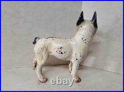 Original Left Facing Antique Cast Iron BROWN Boston Terrier Bull Dog Door Stop Original Left Facing Antique Cast Iron BROWN Boston Terrier Bull Dog Door Stop