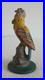 PARROT_CAST_IRON_DOORSTOP_Full_Figure_No_Markings_3_1_4_lbs_7_01_dpm