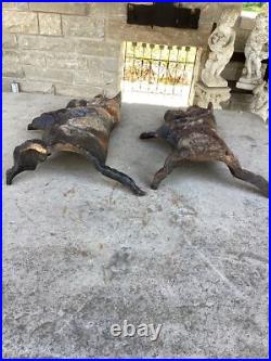 Pair Of Antique Cast Iron Scotty Dog Door Stops Great Patina And Details