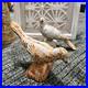 RARE_2_Antique_Cast_Iron_Pigeon_Dove_Bird_Statues_6_Door_Stop_Rust_Rusty_Heavy_01_ynfr