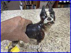 RARE Antique Hubley Cast Iron Original Paint Boston Terrier Dog Doorstop