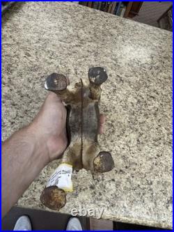 RARE Antique Hubley Cast Iron Original Paint Boston Terrier Dog Doorstop
