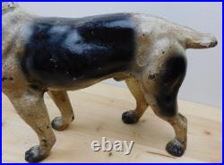 Rare Antique 10.5 Cast Iron Brittany Spaniel Door Stop Original Paint