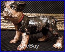 Rare Antique Boston Terrier Puppy Dog Solid Figure Cast Iron Hubley Doorstop Vtg