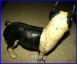 Rare Antique Cast Iron Left Look Boston Terrier Dog Door Stop-10 1/4x11