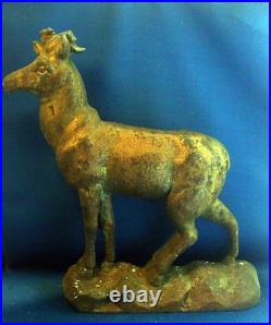 Rare Large & Heavy 19th century Antique Cast Iron Stag Deer Door Stop