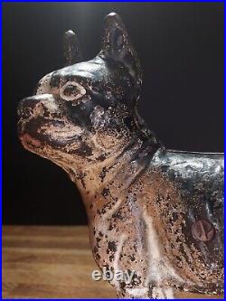 Rare Left Facing Antique Boston Terrier Cast Iron Door Stop