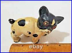 Rare Taylor Cook/Spencer BOSTON TERRIER CAST IRON DOG PAPERWEIGHT DOORSTOP