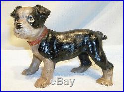Small Antique Hubley Cast Iron Boston Terrier Pup Doorstop Nice Original Paint