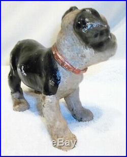 Small Antique Hubley Cast Iron Boston Terrier Pup Doorstop Nice Original Paint