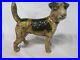 Very_Rare_Hubley_Right_Facing_Welsh_Terrier_Dog_Cast_Iron_Doorstop_Coin_Bank_01_qaf