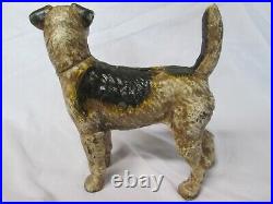 Very Rare Hubley Right Facing Welsh Terrier Dog Cast Iron Doorstop / Coin Bank