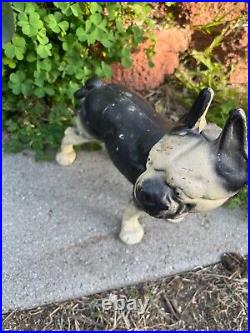 Vintage Cast Iron Boston Dog doorstop Original Paint Hubley