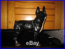 Vintage Cast Iron Dog Boston Terrier Doorstop Left Facing Rare