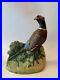 Vintage_Cast_Iron_Pheasant_Door_Stop_Bookend_Like_The_Fred_Everette_Hubley_Toy_01_tkz
