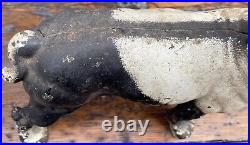Vintage Hubley Cast Iron Boston Terrier Bull Dog Door Stop 10 1/4 X 9 1/2 Vintage Hubley Cast Iron Boston Terrier Bull Dog Door Stop 10 1/4 X 9 1/2