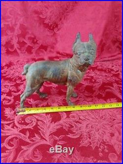 Vintage Large Cast Iron Boston Terrier, Bull Dog Door Stop 10 tall- nice