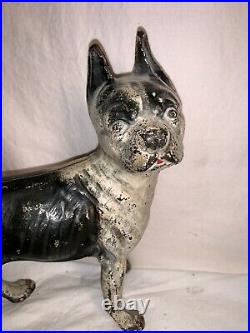 Vtg antique HUBLEY Cast Iron BOSTON TERRIER BOXER Dog Door Stop WHITE BLACK
